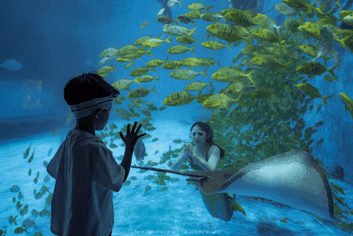 科技模拟·对话传说通过饱览缤纷的海底世界遗迹和各类珍奇的海洋生物