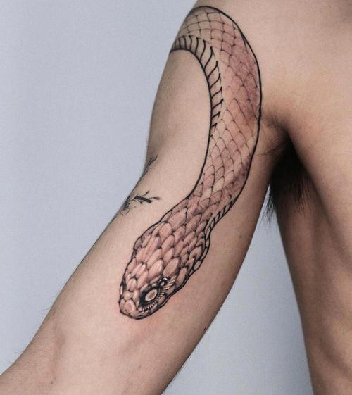 蛇纹身手臂纹身西安纹身