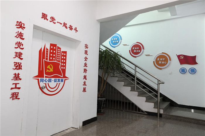 泉州台商投资区:"党企融合"为项目建设注入"红色动能"-中国网海峡频道