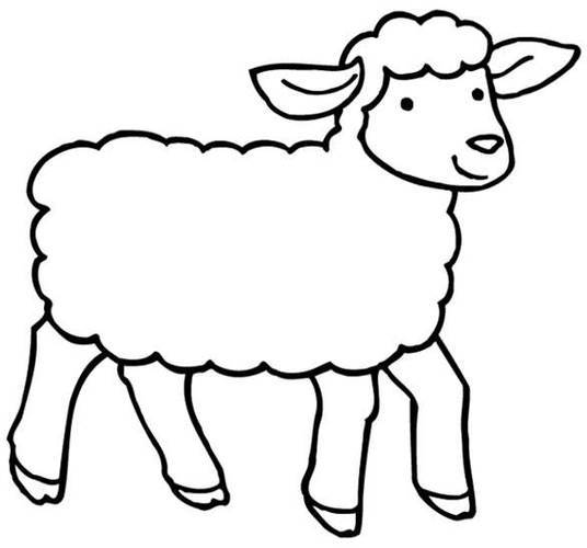 可爱的动物简笔画两只羊 简笔画图片大全-蒲城教育文学网