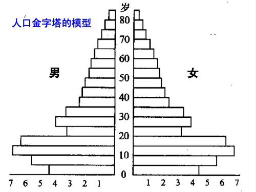 人口金字塔的模型