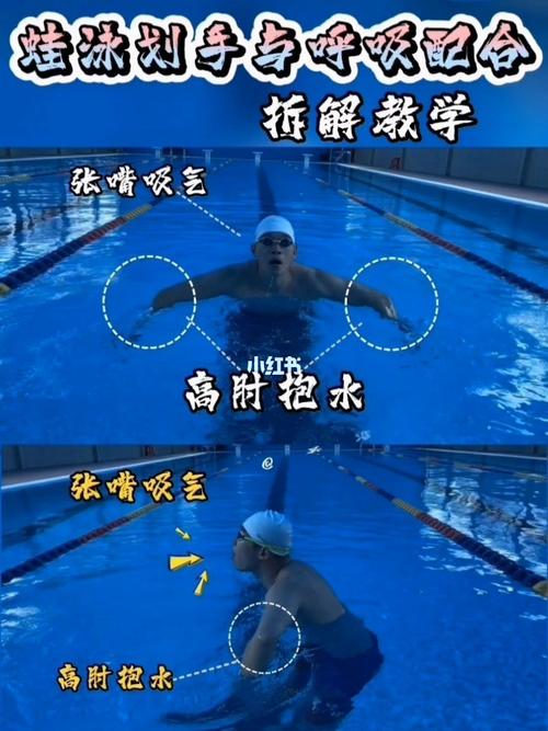 蛙泳手练好这4个动作,不仅能走水,还能让你更好的进行换气.