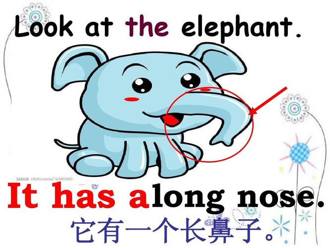 look at the elephant. it has   long nose. 它有一个长鼻子.