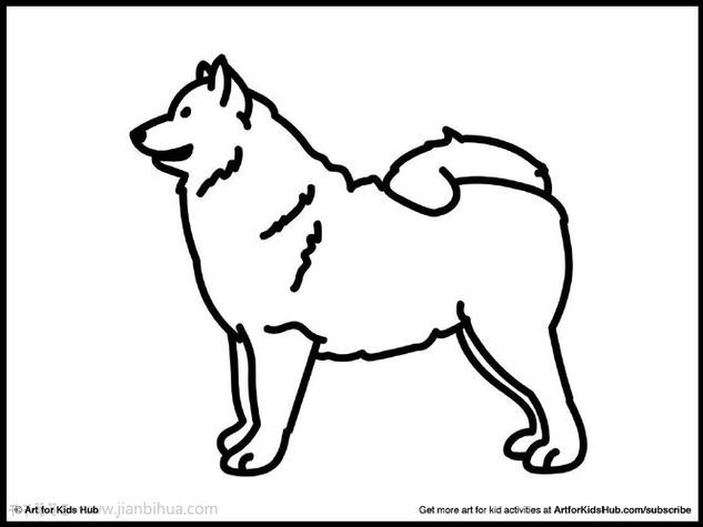 萨摩耶犬简笔画