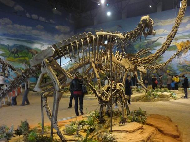 陈列,研究恐龙和其他古生物为一体的博物馆,是中国北方最大的恐龙主题