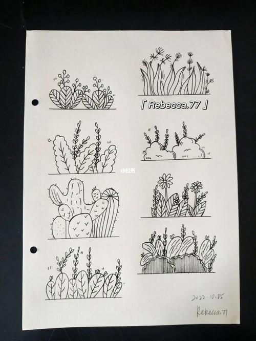 37100黑白简笔画组合植物