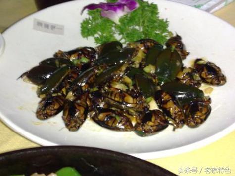 广东美食水蟑螂,俗称龙虱,你敢吃吗?