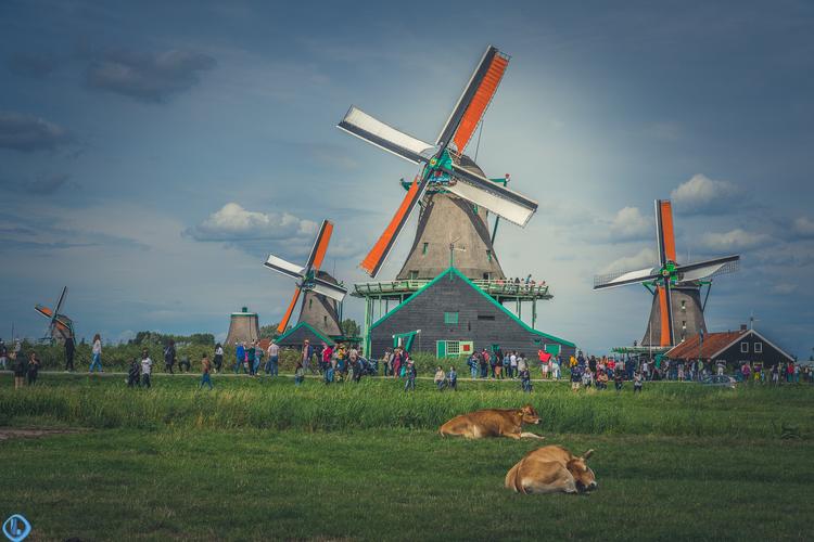 荷兰桑斯安斯风车村一架风车就是一个博物馆