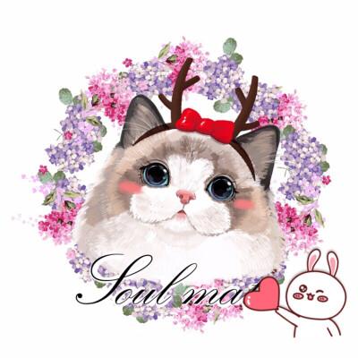 白润雍  发布到  喵猫 图片评论 0条  收集   点赞  评论  简笔画 猫