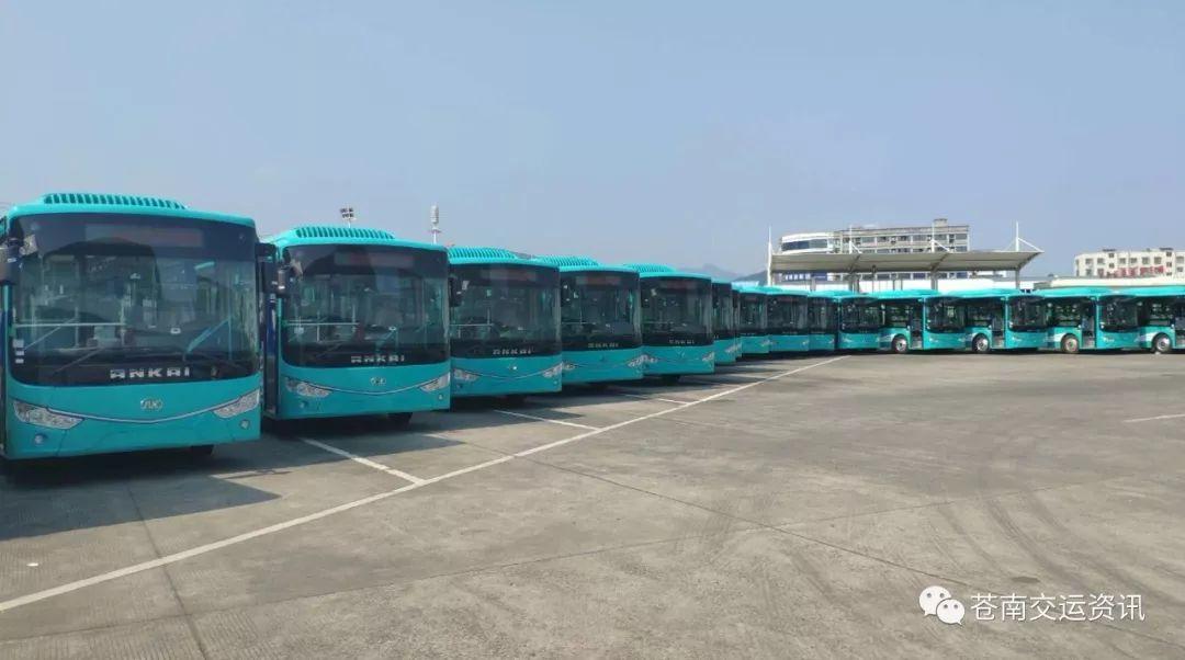苍南又有一批新款公交车投入,分布龙港灵溪