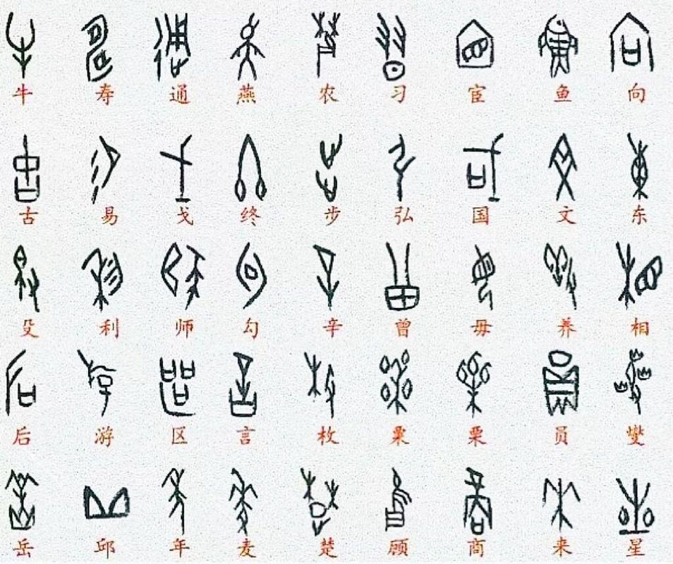 常用字甲骨文对照表 94已发现的殷墟甲骨文里,有大量指事字,象形字