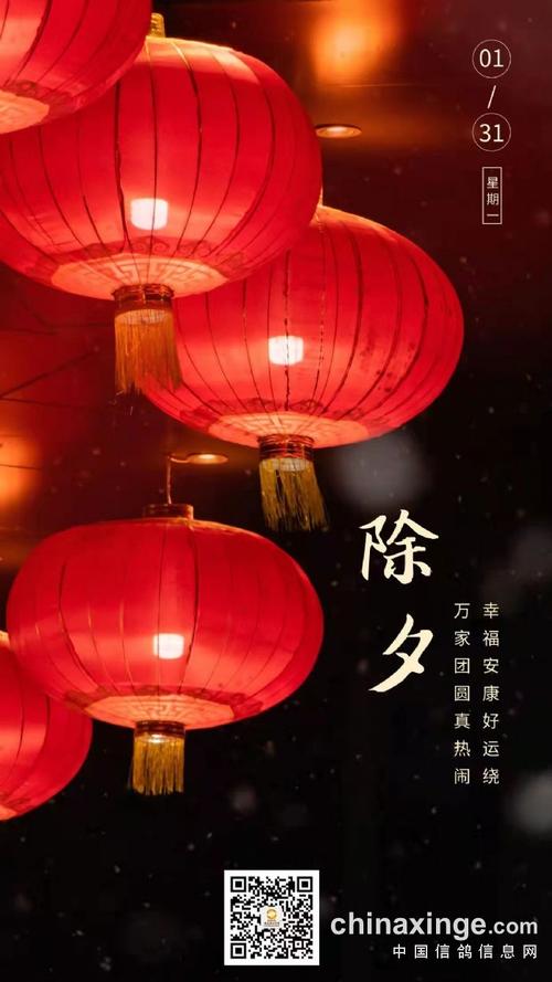 福建海峡赛鸽公棚2022年全体员工恭祝大家除夕夜快乐--中国信鸽协会