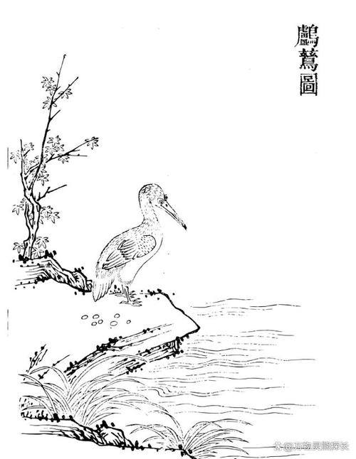 驯养鸬鹚捕鱼原本是中国传承了上千年的独特捕鱼技术,古代南方不少