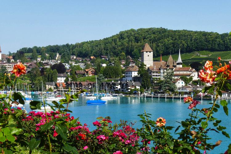 瑞士的夏之施皮茨小镇,图恩湖(八)