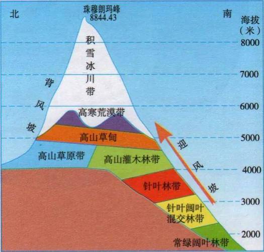 学过地理的都知道,珠穆朗玛峰有很多自然带,只是越往上植物越稀疏