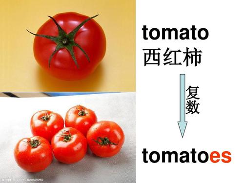 外研版四年级上册英语m4_u2______how_much_is_itppt tomato 西红柿