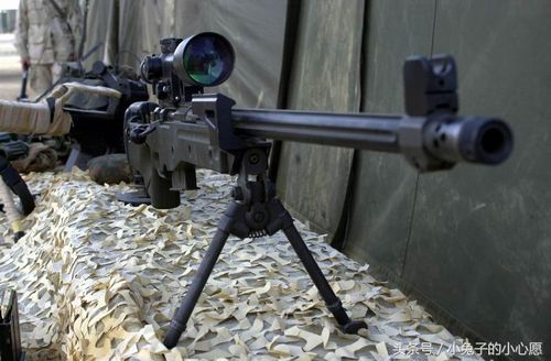 德国g22狙击步枪俄罗斯vm200狙击步枪风行者m96狙击步枪风行者半自动