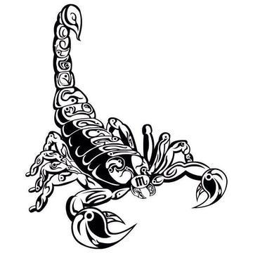 个性蝎子纹身手稿