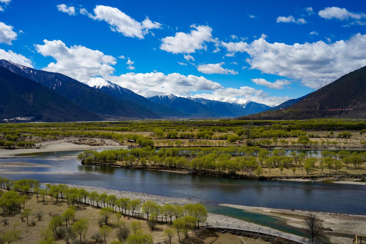 (环境)西藏雅尼国家湿地公园春光美