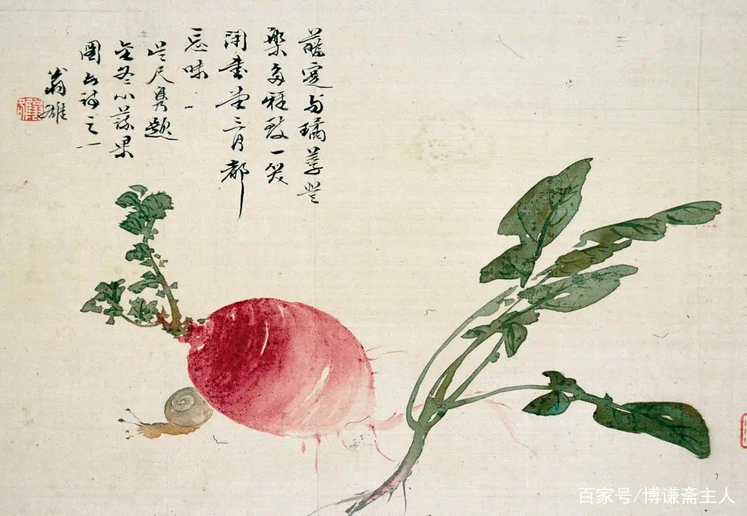 漂亮的红萝卜——清代江苏吴江画家翁雒生活物品写意绘画作品