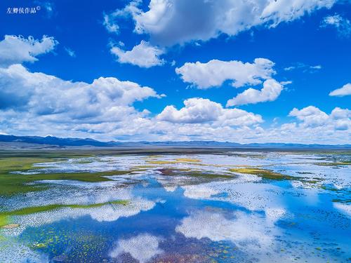 蓝天白云倒映在湖面上与一蔟蔟水草构成了天然的画卷.