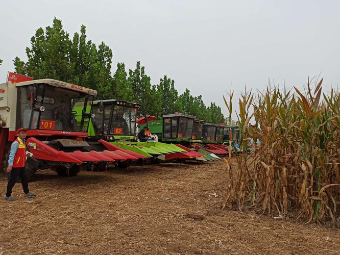 2020年国家玉米籽粒低破碎机械化收获技术暨玉米密植高产技术现场观摩