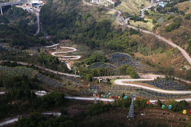 这是重庆涪陵蔺市镇泡桐村葡萄种植基地景象.