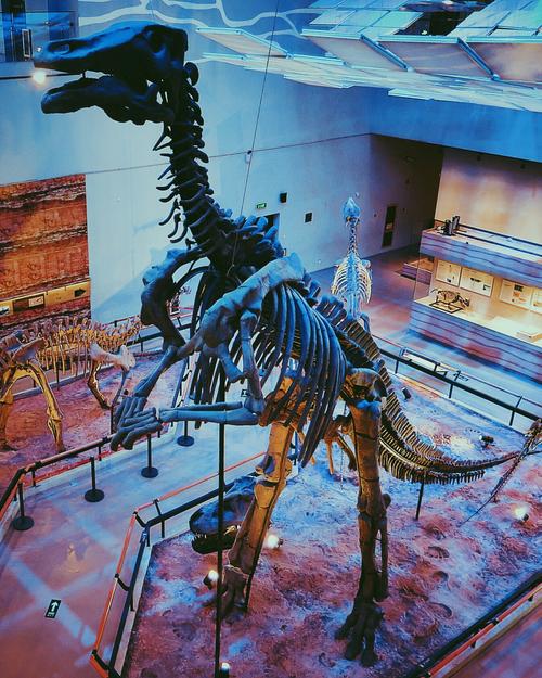广东省博物馆-恐龙世界