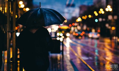撑着雨伞在城市中行走的人背影摄影
