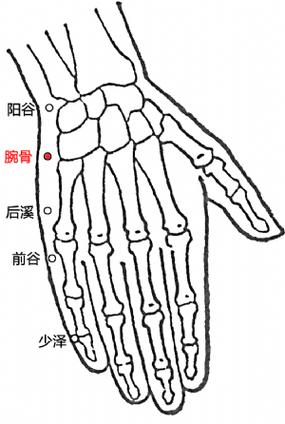当你频繁地使用拇指或手腕时 , 其实在不知不觉间慢慢地加重桡骨茎突
