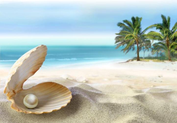 热带沙滩上打开的海贝壳里珍珠