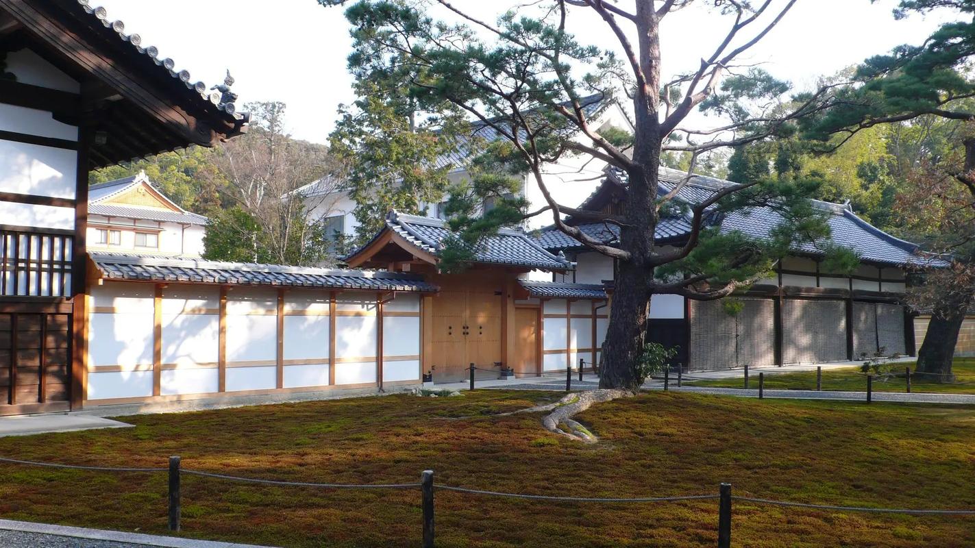 金阁寺.金阁寺原名鹿苑寺,位于京都西北,是幕府首领足利义满于 - 抖音