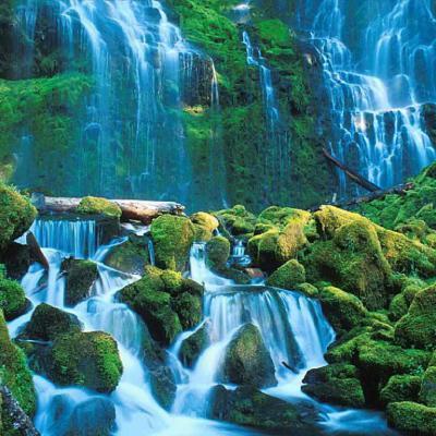 自然山水树风景头像美丽迷人令人震撼的绿色自然风景图片