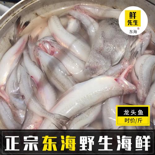 温州海鲜豆腐鱼拍2份送1份新鲜海捕鲜活龙头鱼九肚鱼水潺水鱼