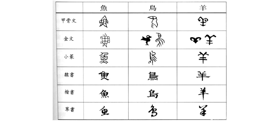 最新汉字的演变过程表
