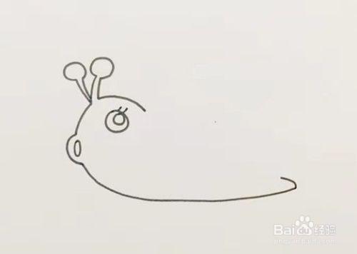 蜗牛的简笔画怎么画