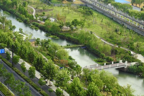 杭州哪里的河道最美丽丁兰综合治水成为全市首批美丽河道标准化试点