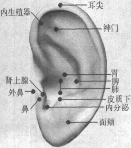 望耳诊病与耳穴治疗