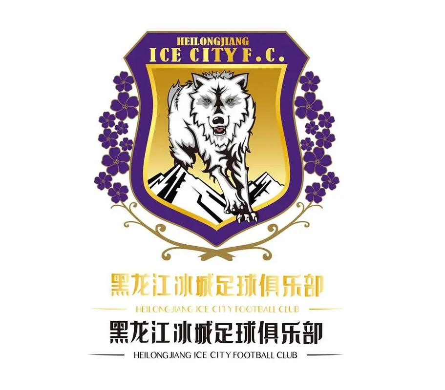 为龙江而战黑龙江fc正式更名为黑龙江冰城足球俱乐部