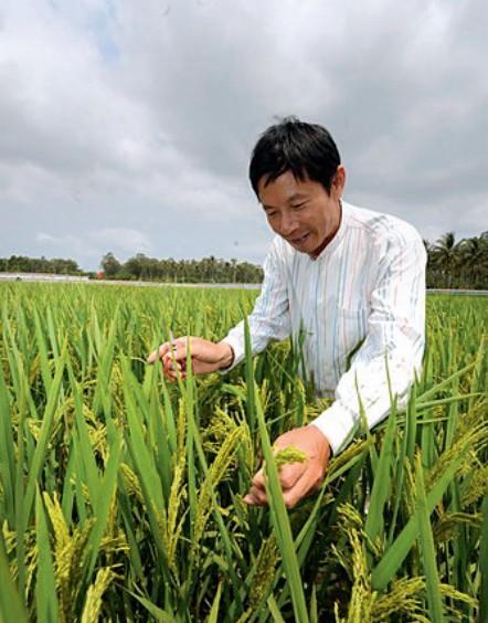 袁隆平:终极目标水稻亩产1200公斤 90岁前实现