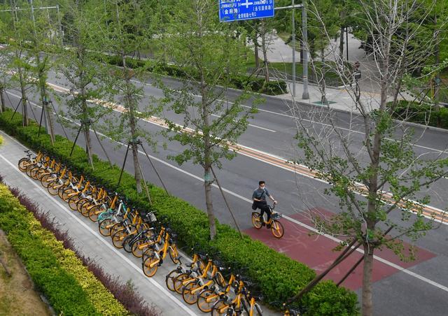 自行车正回归城市北京年骑行量已升至95亿人次