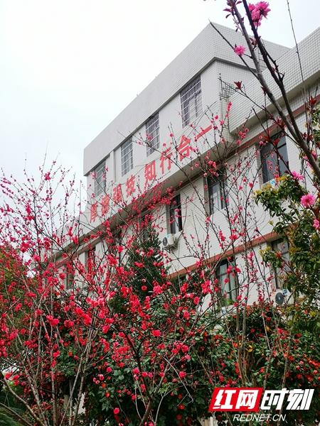 组图丨春雨里的湘潭技师学院