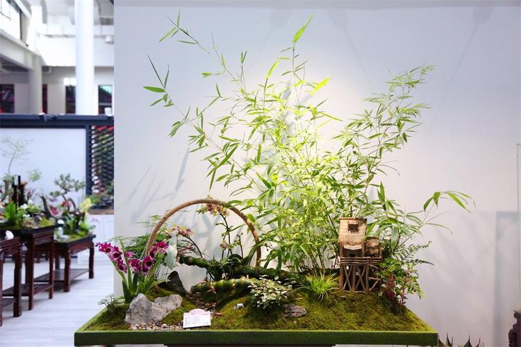 上海十博会组合盆栽作品欣赏