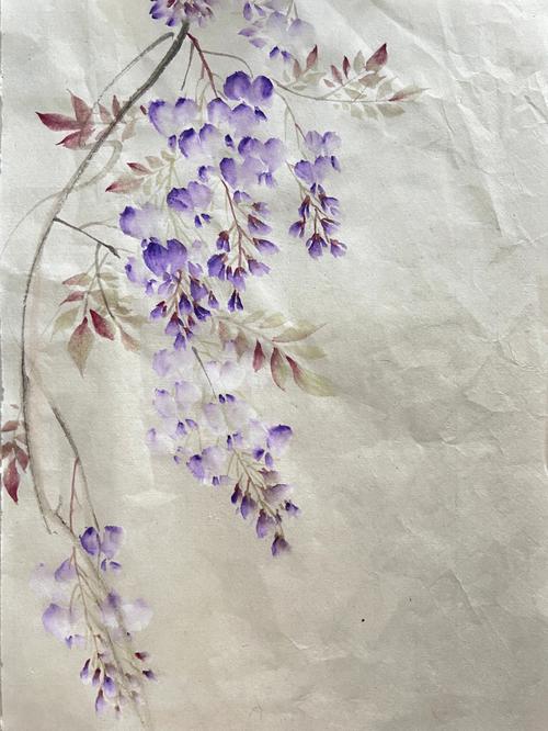国画打卡42紫藤花