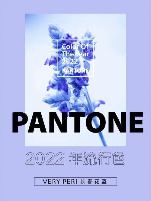 2022pantone流行色长春花蓝or蓝紫