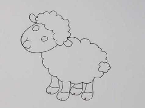 绵羊简笔画3-6岁儿童简笔画 绵羊简笔画教程彩色