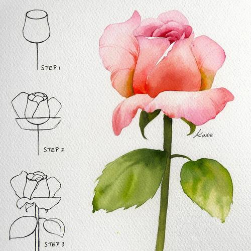 手绘水彩,找了好多参考资料,这是我找到最简单最入门最基础的花卉画法
