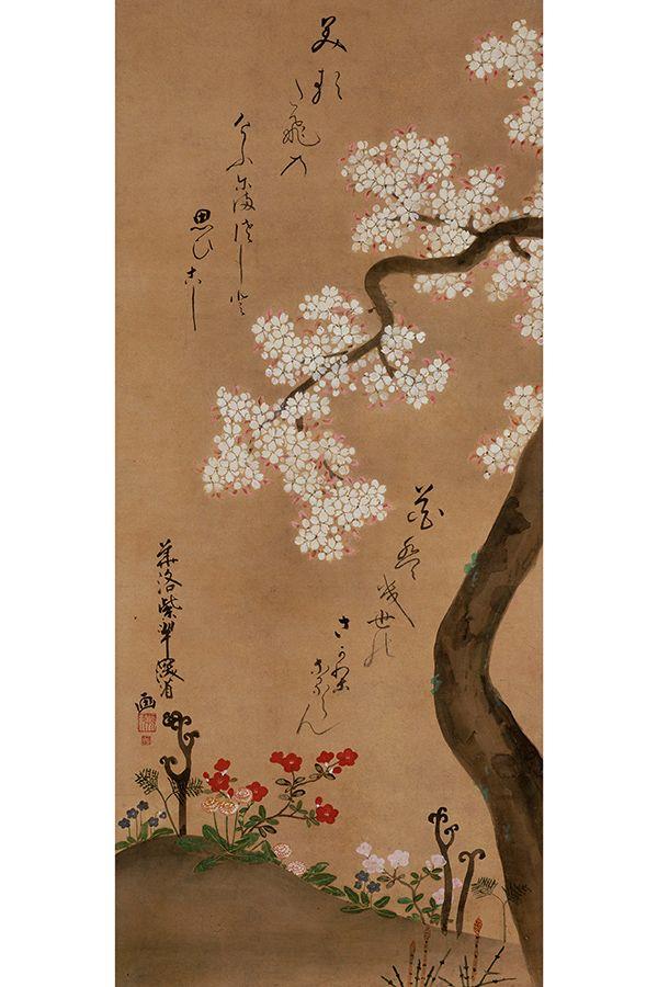 在东京国立博物馆赏樱,于浮世绘中踏春|东京国立博物馆_新浪财经_新浪