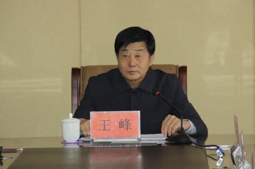 王峰主持召开全市非公有制经济发展专项推进领导小组工作会议
