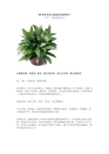 50种常见室内盆栽绿化植物简介